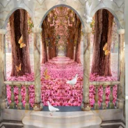 20180208174216_93393