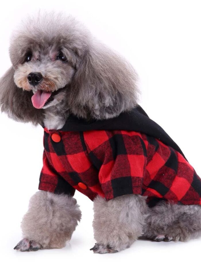 20180901163953_88457-1