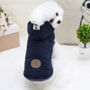 20180913160840_16428