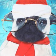 20181009202622_53560-1