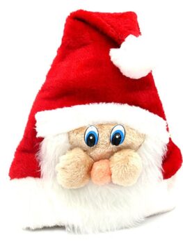 Men's Christmas Santa Claus Hat