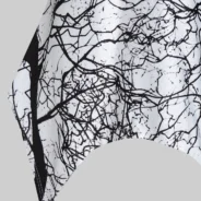 20190722141240_45626-1