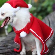 20191016164439_18963-1