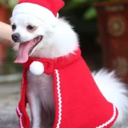 20191016164439_44774