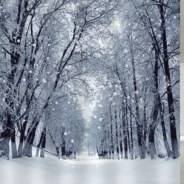 20191024170803_14576