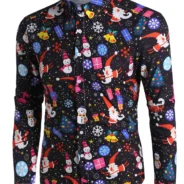 20191115152855_5dce53b77783a