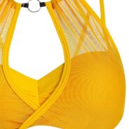 20191227213136_5e0607b8035a0-1