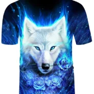 20200119200036_5e2444e426c6c-1