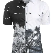 20200312193835_5e6a1f3b46de9-1