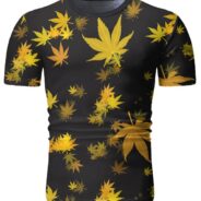 20200317184543_5e70aa579a2ae