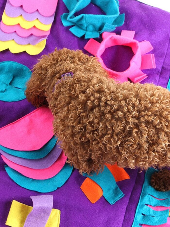 20200319102748_5e72d8a4219a3