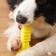 20200507162231_5eb3c547cd807