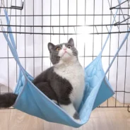 20200610180620_5ee0b09c4c16d