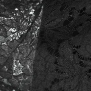 20200623102617_5ef168496eab3-1