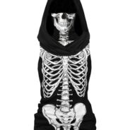 20200624175135_5ef3222756852