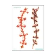 20200706165752_5f02e7908414d