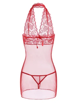 Bowknot Lace Panel Sheer Mesh Lingerie Babydoll