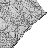 20200714175151_5f0d80372d549-1