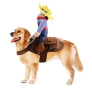 20200715185807_5f0ee13fd0fd6-1