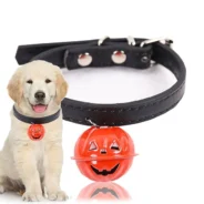 20200807174829_5f2d236d2b913-1