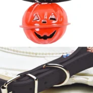 20200807174829_5f2d236d48fbd