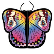 20200827184616_5f478ef8ce7ca-1