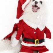 20200924194523_5f6c86d3bdd91