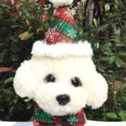 20200924200558_5f6c8ba67f58e